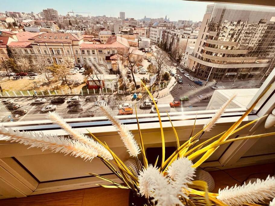 شقة City View Studio In The Heart Of بوخارست المظهر الخارجي الصورة